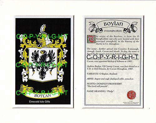 Boylan Family Crest