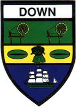 Down County Embroidered Badge