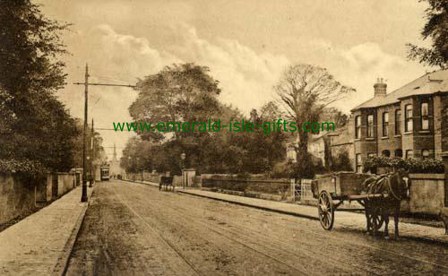 frame size 20x30 photo Terenure (South) Dublin old     Dublin