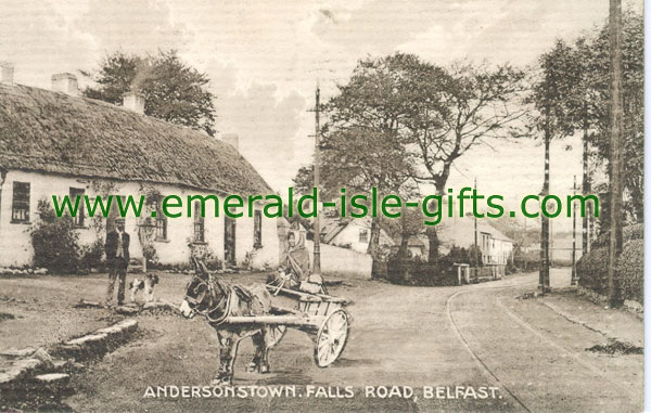 Belfast - Andersonstown - Falls Road photo