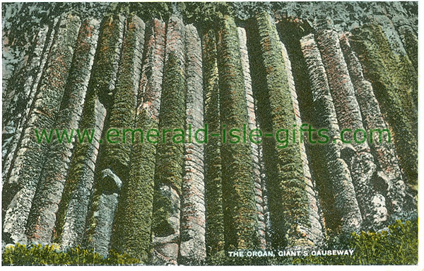 Antrim - Giants Causeway - The Organ