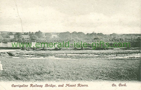 Cork - Carrigaline - Carrigaline Railway Bridge