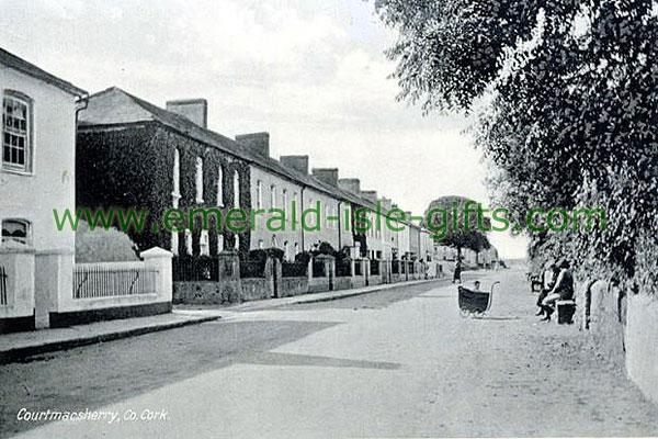 Cork - Courtmacsherry - old b/w photo