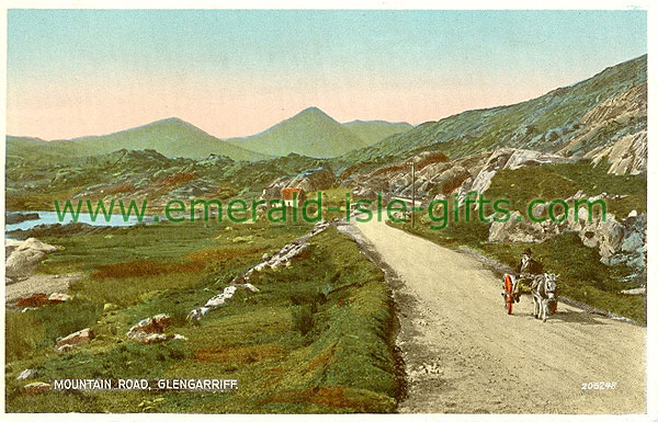 Cork - Glengarriff - Mountain Road, Glengarriff