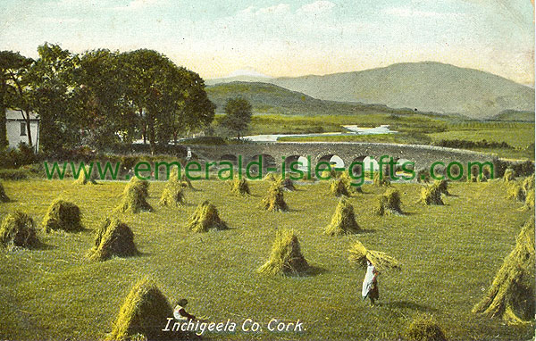 Cork - Inchigeela - Harvest Scene