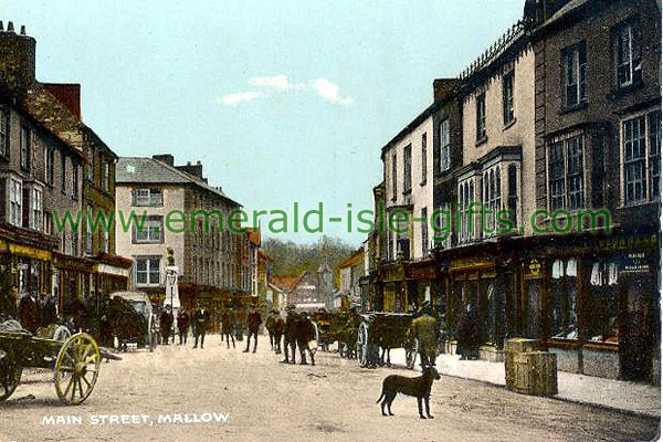 Cork - Mallow - Main Street in colour