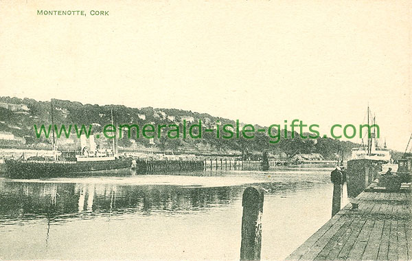 Cork - Montenotte - View from across River Lee