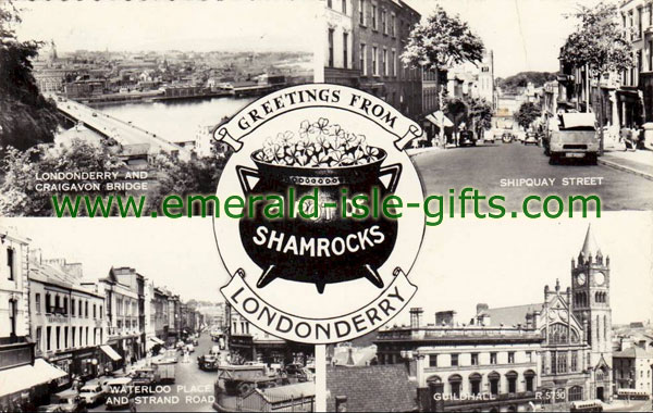 Derry / Londonderry - A Pot of Shamrocks