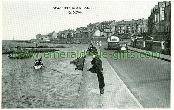 Down - Bangor - Seacliffe Road