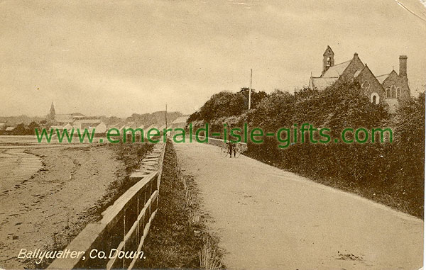 Down - Ballywalter - Coastal view