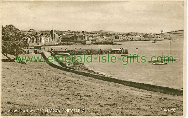 Down - Portaferry - View from Walter Meadow