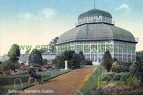 Dublin - Glasnevin - Botanic Gardens colour