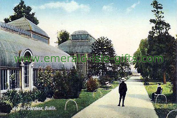 Dublin - Glasnevin - The Botanic Gardens