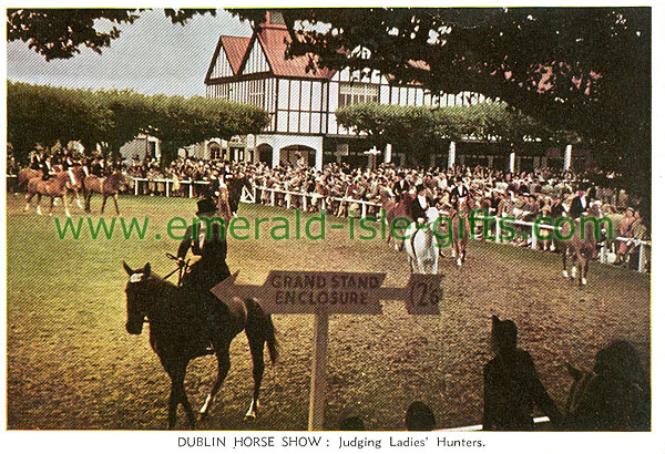 Dublin Sth - Ballsbridge - RDS Hose Show, Judging Ladies