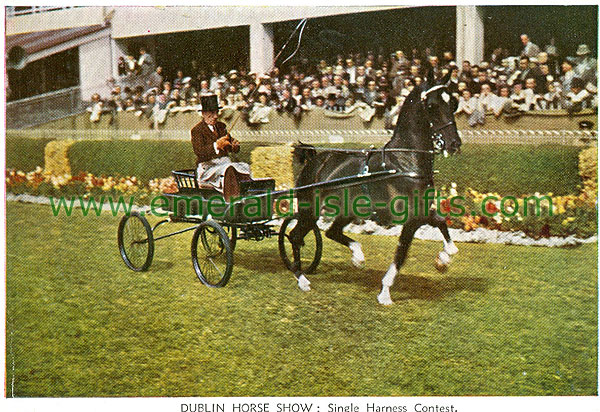 Dublin Sth - Ballsbridge - RDS Hose Show, Single Harness Contest