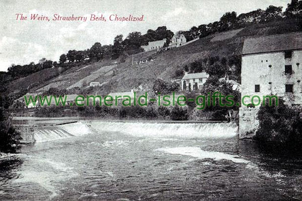 Dublin - Chapelizod, The Weirs at