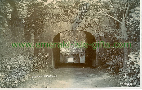 Dublin Sth - Lucan - Entrance to Demesne, Lucan