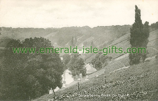 Dublin Sth - Strawberry Beds - Aerial view