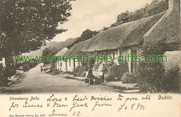 Dublin South - Strawberry Beds - Street scene