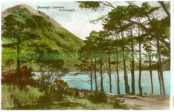 Galway - Dhulough - Dhulough, Leenane