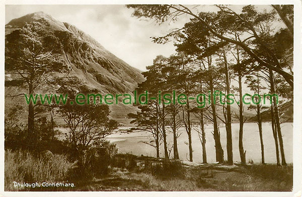 Galway - Dhulough - Lake view