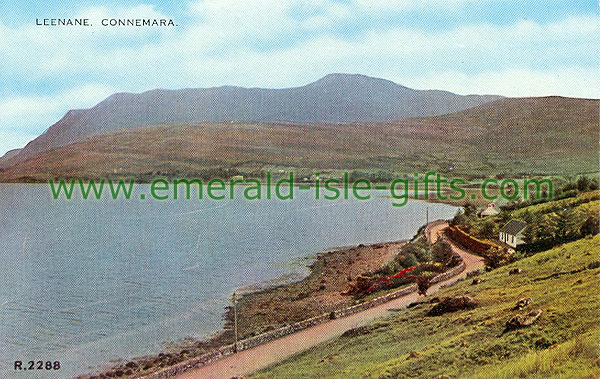 Galway - Leenane - Coastal view