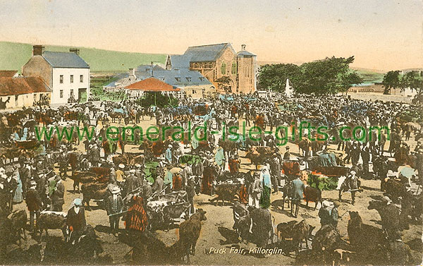 Kerry - Killorglin - Puck Fair - circa 1904