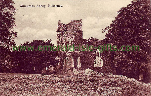 Kerry - Killarney - Muckross Abbey b/w