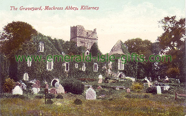 Kerry - Muckross Abbey - The Graveyard