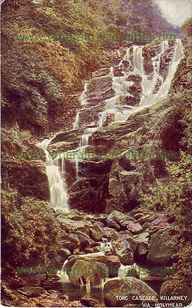 Kerry - Killarney - Torc Cascade