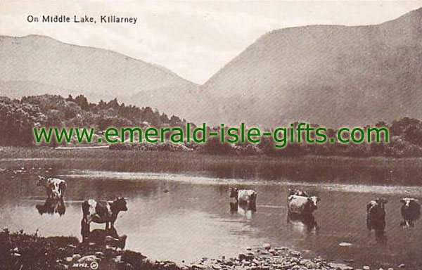 Kerry - On Middle Lake, Killarney