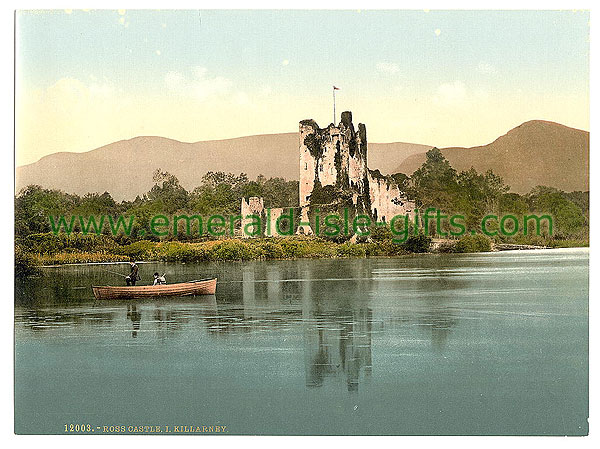 Kerry - Boating near Ross Castle