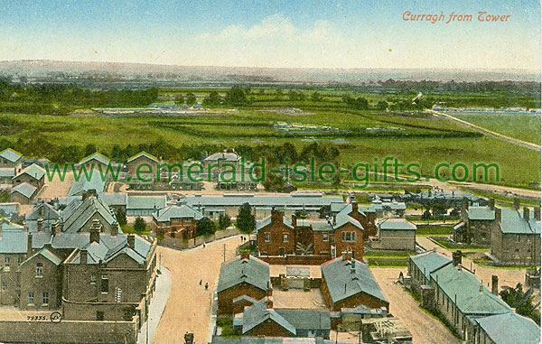 Kildare - Curragh - Curragh from Tower