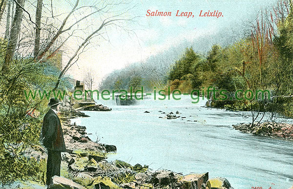 Kildare - Leixlip - Salmon Leap