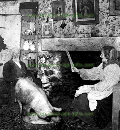 Pig in Co Kerry Cottage, circa 1905