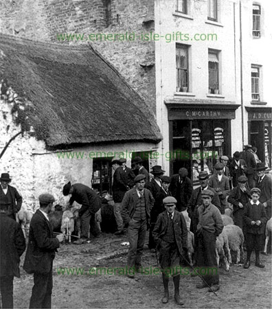 Killarney Sheep Fair, Co. Kerry