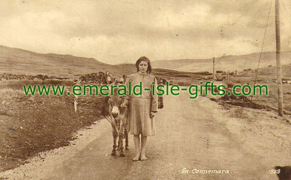 In Connemara - Girl and Donkey