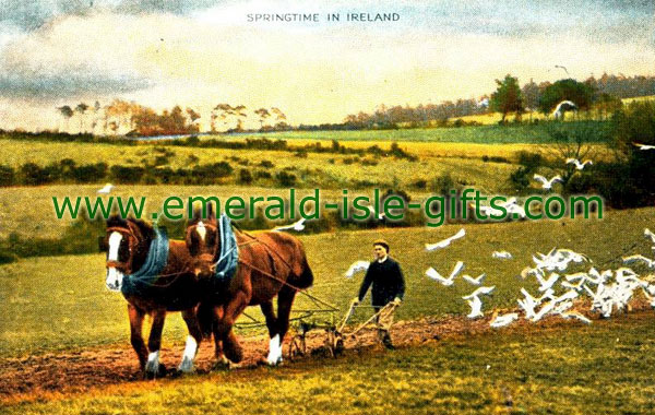 Springtime in Ireland - old Irish print