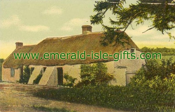 Picture of a Real Irish Cottage