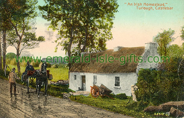 Mayo - Turlough - Homestead