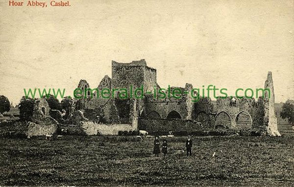 Tipperary - Cashel - Hoar Abbey ruins