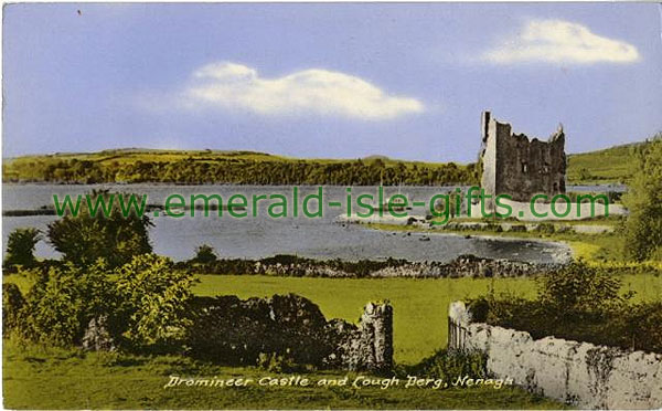 Tipperary - Dromineer - Castle & Lough Derg