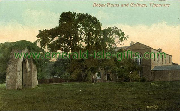 Tipperary - Abbey Ruins and College