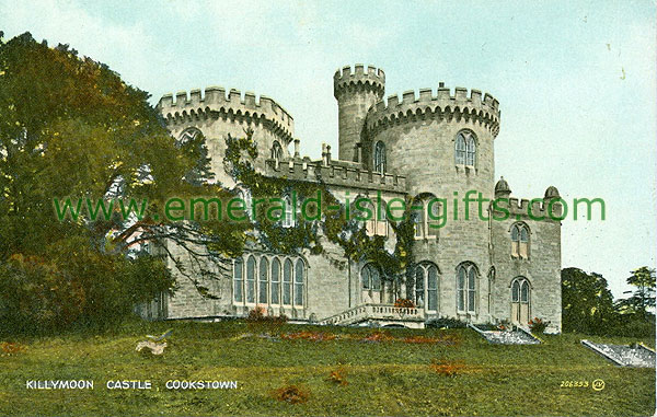 Tyrone - Cookstown - Killymoon Castle