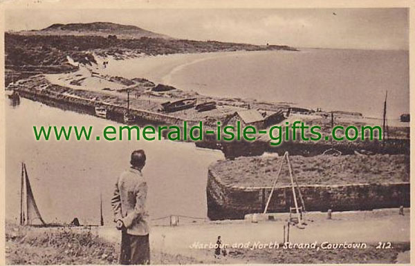 Wexford - Man looking over Courtown Strand