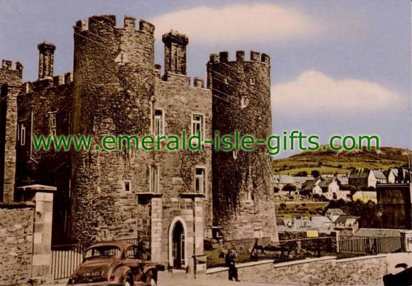 Wexford - Enniscorthy Castle - old print