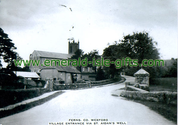 Wexford - Ferns - old b/w Irish photo