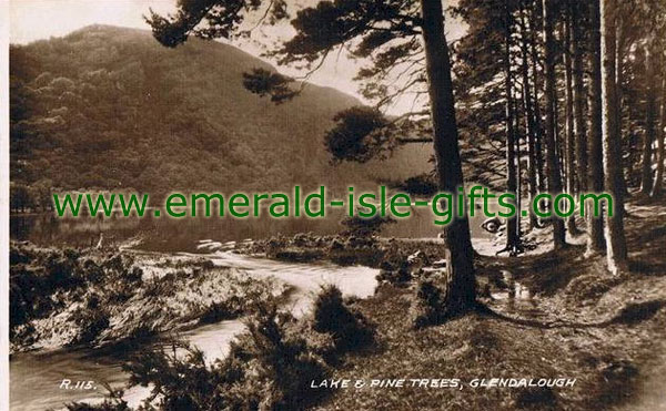 Wicklow - Lake and Pine Trees at Glendalough