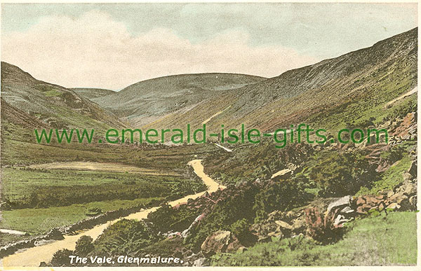 Wicklow - Glenmalure - Vale