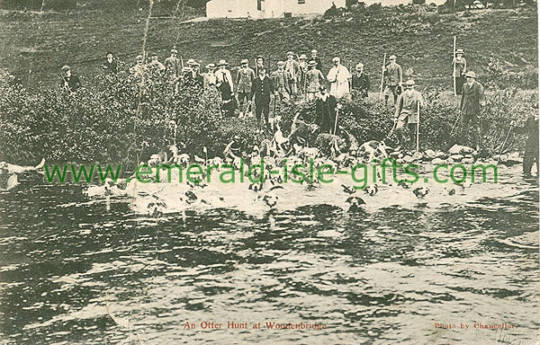 Wicklow - Woodenbridge - an otter hunt at wooden bridge